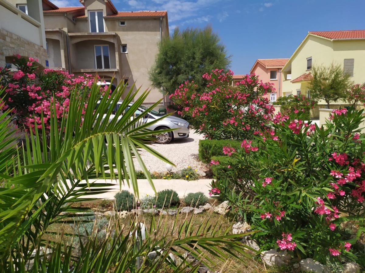 Apartmani Vjeko Vir Exterior foto
