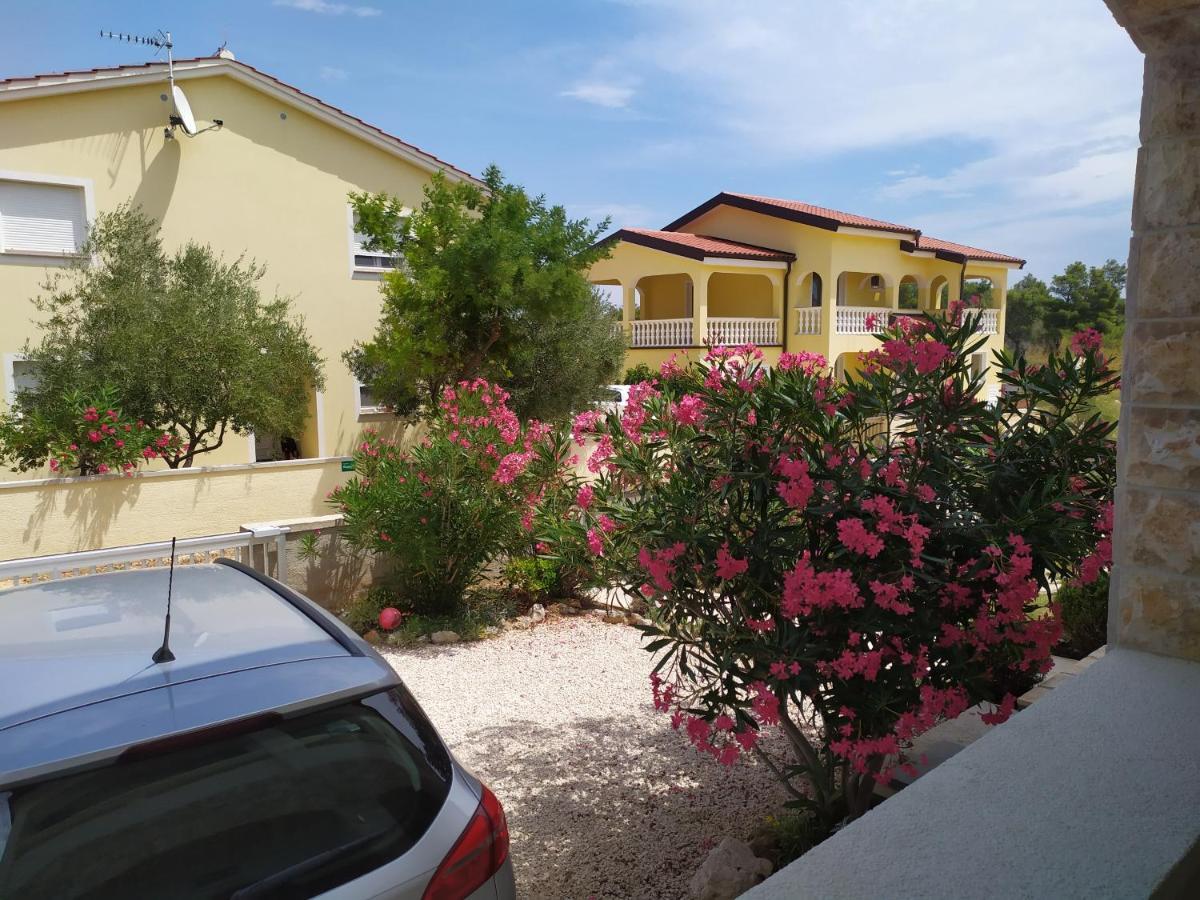 Apartmani Vjeko Vir Exterior foto